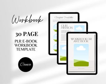 Resell Digital Products PLR Ebook Social Media PLR Template Passive Income Template PLR Canva Ebook  Template Resell Workbook Instagram