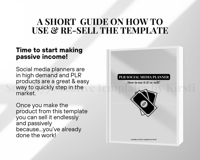 May include: A guide titled "A Short Guide on How to Use & Re-Sell the Template" with the text "Time to start making passive income!" A book with the title "PLR Social Media Planner" and illustrations of money.