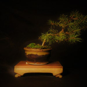 Bonsai plant stand for Shohin &quot;Pico&quot;