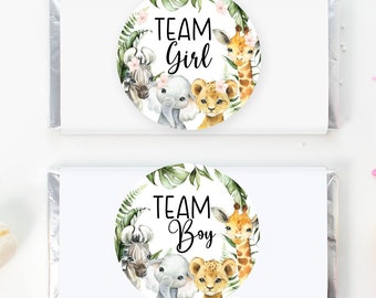 Team Boy Team Girl Safari Baby Shower Stickers, Safari Gender Reveal Baby Shower Stickers, Gender Reveal Stickers, 4 Tallas, Pegatinas Brillantes
