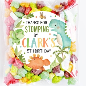Dinosuar Birthday Stickers, Dinosaur Birthday Party Favor Stickers, Party Favor Labels, Customized , 4 Sizes, Printed Stickers, Roaring Dino