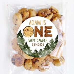 Personalized One Happy Camper Birthday Stickers, Woods Birthday Party Favor Stickers, Party Favor Labels, Customized, 4 Sizes, Printed, 1st