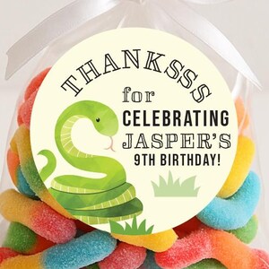 May include: A clear cellophane bag filled with colorful gummy worms, tied with a white ribbon. A round sticker on the bag reads "Thanks for Celebrating Jasper's 9th Birthday!" with a green snake illustration.