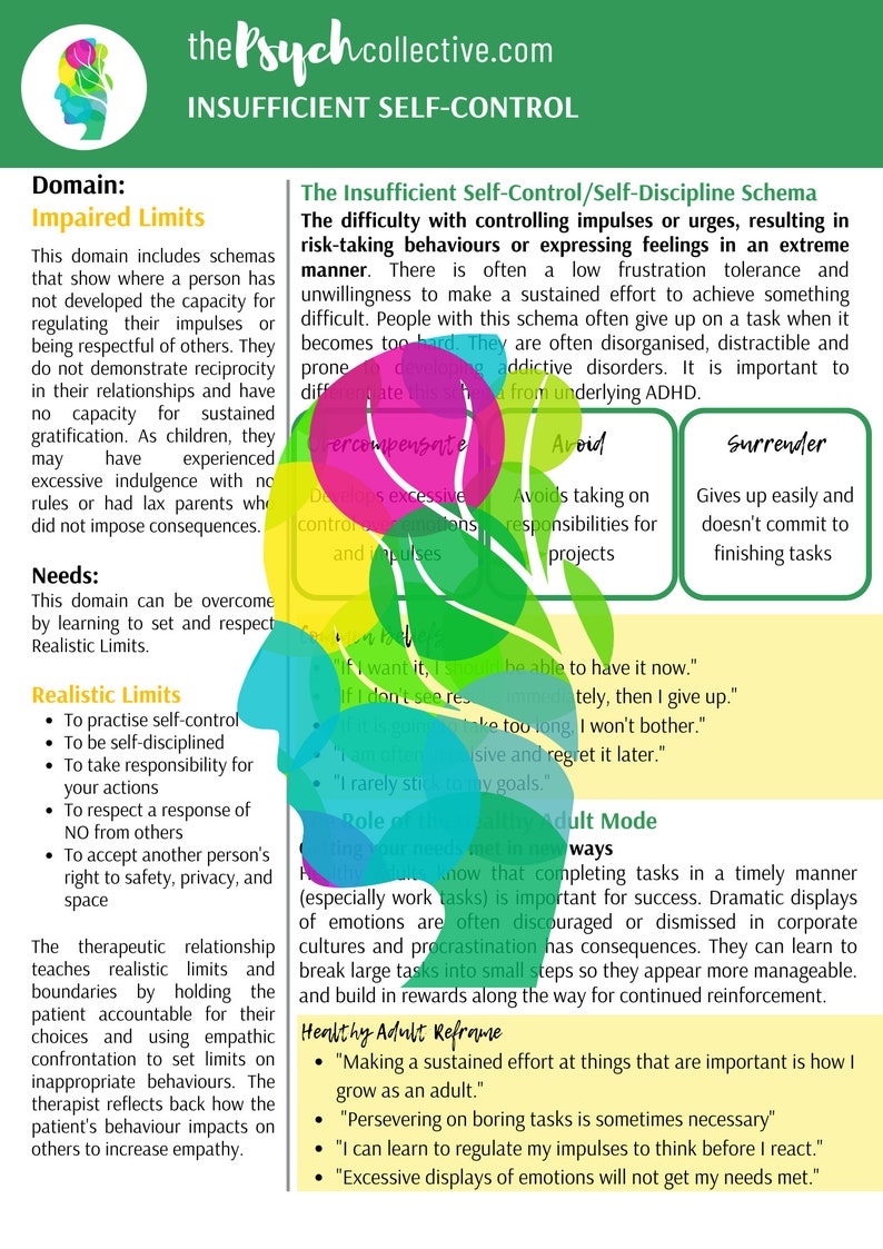 Schema Therapy the Complete Set of Worksheets Etsy