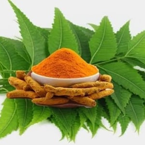 Può includere: Una ciotola bianca piena di polvere di curcuma arancione brillante, circondata da foglie verdi di neem. Le foglie sono disposte a ventaglio, con la ciotola al centro.