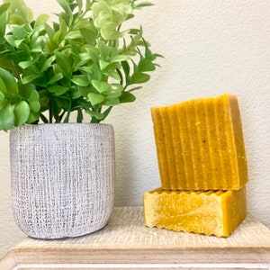Natural Orange Cinnamon Soap