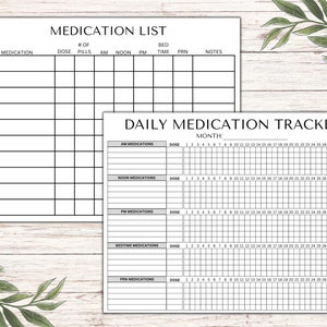 Daily Medication Tracker, Medication Log, Daily Medication Sheet, Medication List, Printable, Instant Download, Editable in Canva image 1