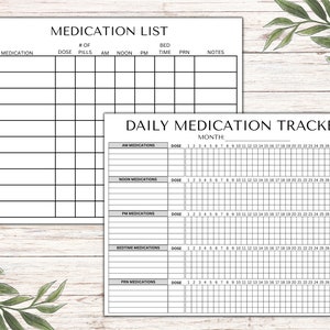 Daily Medication Tracker, Medication Log, Daily Medication Sheet,  Medication List, Printable, Instant Download, Editable in Canva