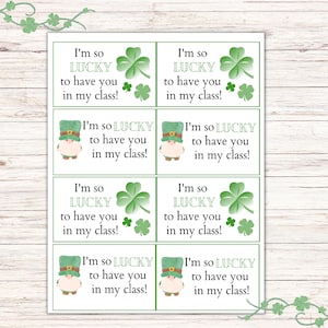 Druckbare St. Patricks Day Tags, Klassenzimmer Karten für Studenten, Sofort Download, St. Patricks Day Karten