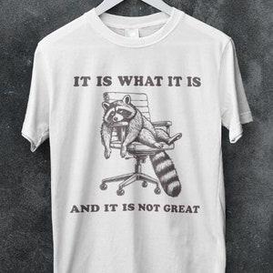 Divertente camicia retrò di procione, maglietta grafica vintage di procione, camicia regalo divertente di procione, meme di procione, atmosfera retrò di procione alla moda, maglietta dei cartoni animati