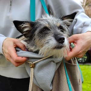 Pet Carrier Designer Dog Travel Tote Bag and Bassinet