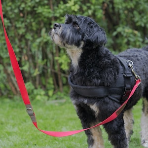 Hands Free Multi Purpose Convertible Dog Training Leash