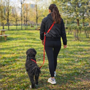 Correa de entrenamiento para perros convertible multiusos con manos libres