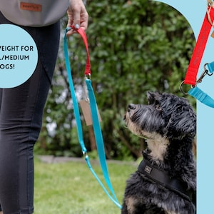 May include: A blue and red dog lead with a small brown tag that says "Pawtraits". The lead is held by a person in black leggings. A small black and white dog is wearing a black harness and looking up at the lead.