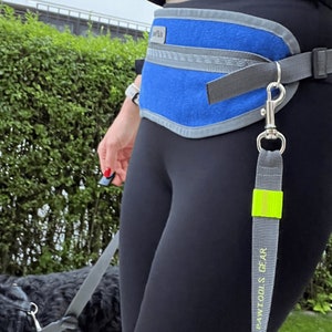 Hands Free Dog Walking Belt
