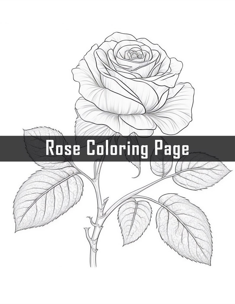 Beautiful Rose Coloring Page - Etsy