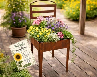 Pflanzstuhl Edelrost Gartendeko Metall Gartenstuhl Pflanzgefäß Geschenkset für Gartenliebhaber inkl exklusiver Sonnenblumen Samentüte