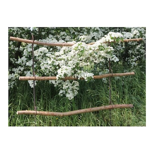 Könnte beinhalten: Ein weiß blühender Strauch, der auf einem Holzspalier mit drei horizontalen Stützen wächst. Der Strauch blüht in voller Blüte, mit weißen Blüten, die die Zweige bedecken.