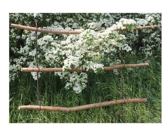 2 pieces perennial holder, bed border, fence, natural decoration, DIY, natural garden, trellis, bed border, perennials, climbing aid perennial support