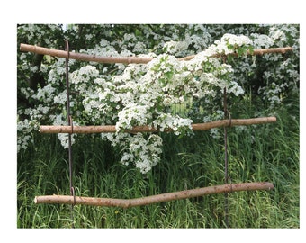 Lot de 2 supports de vivaces, délimiteurs de plates-bandes, clôture, décoration naturelle, bricolage, jardin naturel, treillis, treillage, bordure de lit, vivaces, treillis support de vivaces