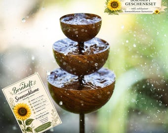 Paletto da giardino per la raccolta dell'acqua piovana, abbeveratoio per insetti arrugginito, decorazione da giardino in metallo, acciaio invecchiato, paletto da aiuola arrugginito, paletto superiore, 100 cm + semi, set regalo