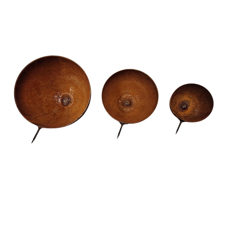 May include: Three rusty brown metal wall planters of varying sizes. Each planter is a shallow bowl shape with a small, centered, raised detail and a black screw for mounting. The planters are arranged in a row.