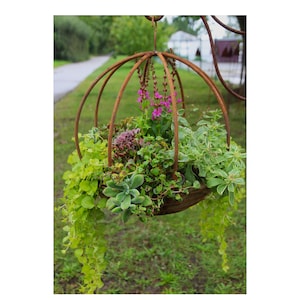 Metal hanging basket, hanging basket, hanging basket, hanging basket, plant basket, garden ball, 40 cm diameter, garden decoration