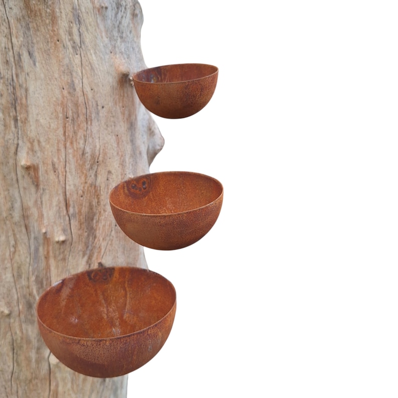 May include: Three rusty metal bowls attached to a weathered tree trunk. The bowls are semi-circular, with a textured, aged appearance. The tree trunk is light brown with visible grain and knots. The bowls are arranged vertically, suggesting a decorative or functional design.