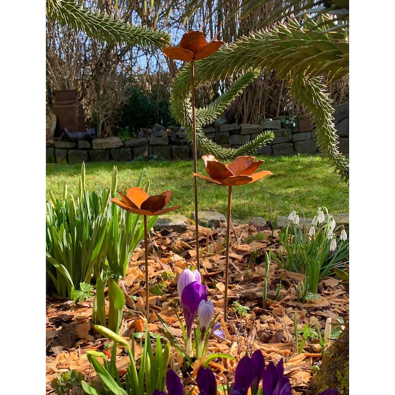 Bornhöft Set of 3 Garden Stakes Poppy Poppy Flower Poppy Capsule Metal Rust Garden Decoration Patina Trellis Bed Stake Pot Stake Natural Rust Blossom image 4