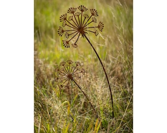 Gartenstecker Pusteblume Aus Metall – 134 Cm Hoch, Rostoptik, Wetterfeste Gartendeko Aus Stahlblech