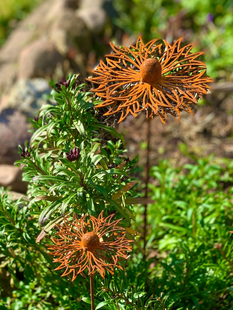 2er Set Kornblumen Edelrost Rost Deko rostige Gartendeko Blüten Blumen Gartenstecker Edelrost Gartendekoration Garten Rostdeko imagem 2