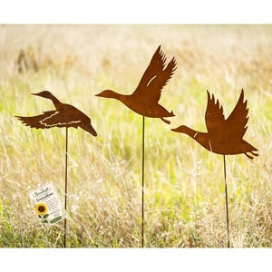 Estaca de jardín con forma de gansos voladores, metal oxidado, 125 cm | Decoración de jardín de metal | Juego de 3 | Set de regalo que incluye semillas de girasol Bornhöft