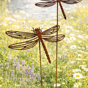 May include: Two rust-coloured metal dragonfly garden stakes featuring intricate cut-out wing patterns and long, slender bodies. Each dragonfly is mounted on a thin, straight metal rod, designed to be inserted into the ground for outdoor display.