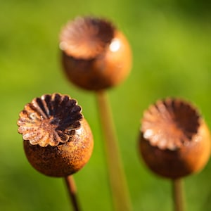 Peut inclure: Gros plan sur trois t&ecirc;tes de graines d&eacute;coratives en m&eacute;tal rouill&eacute; avec un bord festonn&eacute;, sur un fond vert flou. Les t&ecirc;tes de graines sont sph&eacute;riques avec un aspect textur&eacute; et vieilli, sugg&eacute;rant une d&eacute;coration de jardin ext&eacute;rieure.