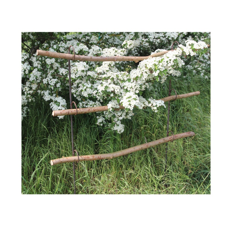 Pack de 2 supports de vivaces, bordures de lit, clôture, décoration naturelle, bricolage, jardin naturel, treillis, treillis, bordure de lit, plantes vivaces, aide à l'escalade, support de plantes vivaces image 3