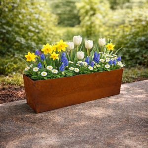 Może przedstawiać: Prostokątna, zwietrzała metalowa skrzynka na kwiaty wypełniona żywą mieszanką wiosennych kwiatów. Żółte żonkile, białe tulipany, niebieskie szafirki i małe białe stokrotki tworzą kolorową ekspozycję. Donica stoi na betonowej powierzchni.