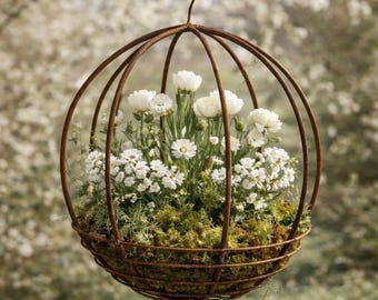 Portavasi Da Parete In Ferro, Set Di Supporti A Cerchio Per Vasi, Per Fioriere Da Appendere In Interno/esterno, Balcone, Giardino
