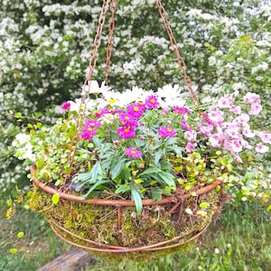 Metalen bloemenmand, plantenmand, hangmand, hangmand, hangmand, plantenmand, tuinbal 50 cm diameter met schaal, tuindecoratie