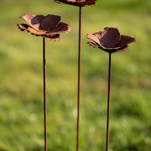 Bornhöft Set of 3 Garden Stakes Poppy Poppy Flower Poppy Capsule Metal Rust Garden Decoration Patina Trellis Bed Stake Pot Stake Natural Rust Blossom image 3