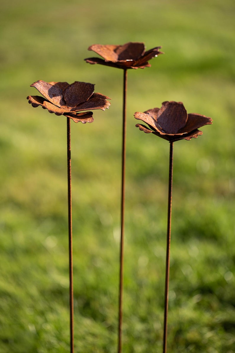 Bornhöft Set of 3 Garden Stakes Poppy Poppy Flower Poppy Capsule Metal Rust Garden Decoration Patina Trellis Bed Stake Pot Stake Natural Rust Blossom image 3