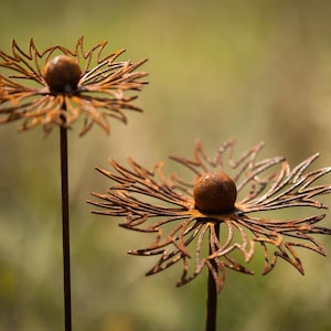 2er Set Kornblumen Edelrost Rost Deko rostige Gartendeko Blüten Blumen Gartenstecker Edelrost Gartendekoration Garten Rostdeko