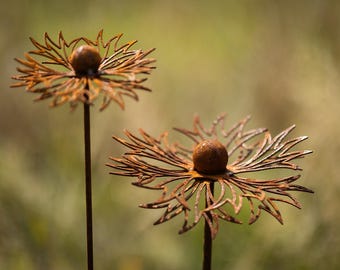 Set of 2 cornflowers rust decoration rusty garden decoration blossoms flowers garden stake rust garden decoration garden rust decoration