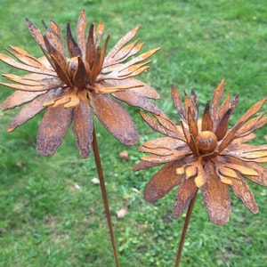 Set of 2 garden stakes metal flower rust garden decoration rusty decoration patina bed stake pot stake rusty Telopea flower