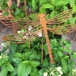 May include: A rust-coloured metal dragonfly garden stake featuring a detailed cutout wing pattern and a segmented body. The dragonfly is attached to a thin metal rod, designed to be inserted into the ground for outdoor display in a garden setting.