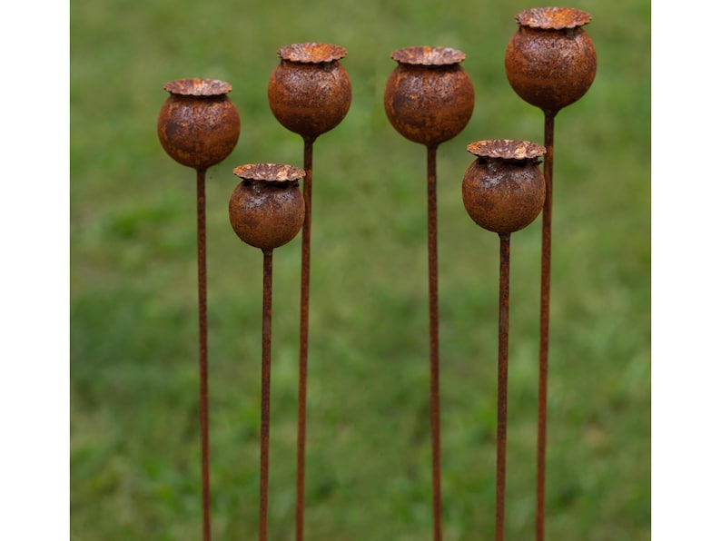 Peut inclure: Six ornements de jardin en m&eacute;tal rouill&eacute; en forme de capsules de graines de pavot. Chaque ornement a une t&ecirc;te de graine sph&eacute;rique au sommet d'une tige &eacute;lanc&eacute;e. Les t&ecirc;tes de graines sont brun fonc&eacute; et patin&eacute;es, et les tiges sont de couleur similaire.