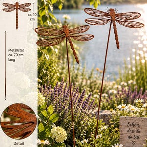 May include: Two rust-coloured metal dragonfly garden stakes with intricate wing patterns. The dragonfly bodies measure approximately 16 cm wide by 10 cm tall, attached to metal rods approximately 70 cm long. A sign reads "Sch&ouml;n, dass du da bist".