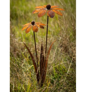 Può includere: Due fiori di metallo arrugginito con petali marroni e centri neri si ergono in un campo di erba verde. I fiori sono fatti di metallo e hanno un aspetto rustico.