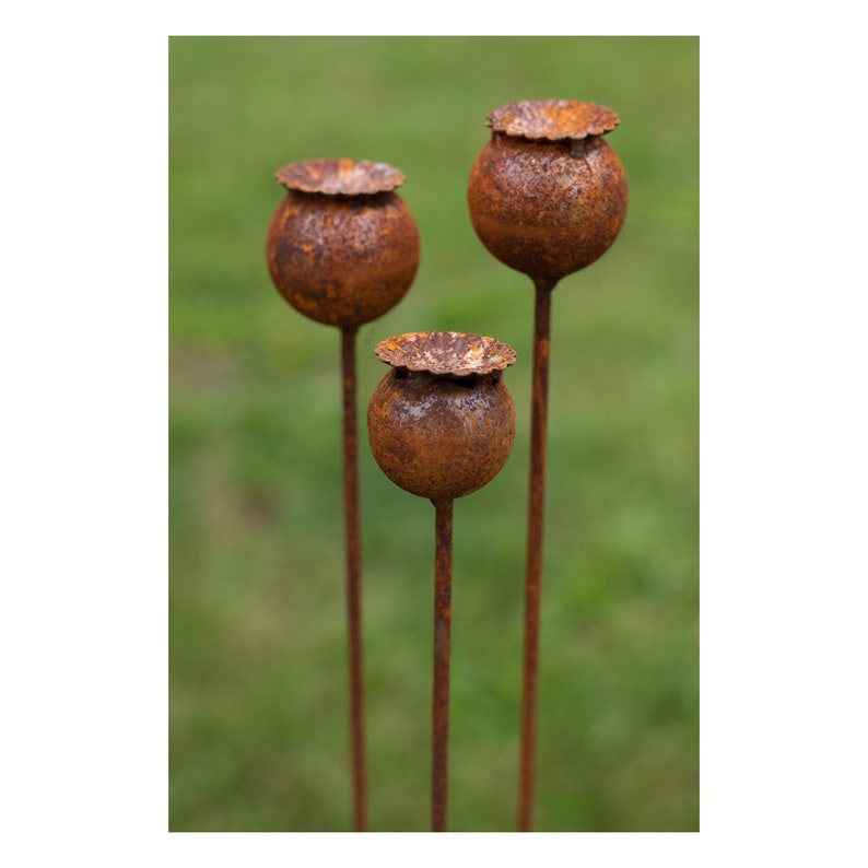 Peut inclure: Trois ornements de jardin en m&eacute;tal rouill&eacute; en forme de capsules de graines. Chaque capsule a un corps sph&eacute;rique et un dessus textur&eacute; et ouvert. Les tiges sont fines et droites. Le fond est vert flou, sugg&eacute;rant un cadre de jardin.