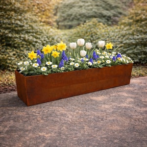 Może przedstawiać: Prostokątna, wyglądająca na zwietrzałą metalowa skrzynka na kwiaty wypełniona różnorodnymi kolorowymi wiosennymi kwiatami. Widoczne są żółte żonkile, białe tulipany, niebieskie szafirki i małe białe stokrotki. Donica stoi na betonowej powierzchni.