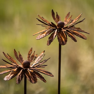 2er Set Gartenstecker Metall Blume Rost Gartendeko rostige Dekoration Edelrost Beetstecker Topfstecker rostige Telopea Blume